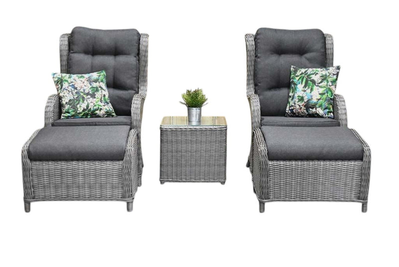 Phoenix Loungestoelenset - Natural Grey